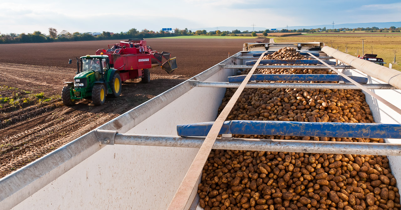 Traktor bei der Kartoffel Ernte